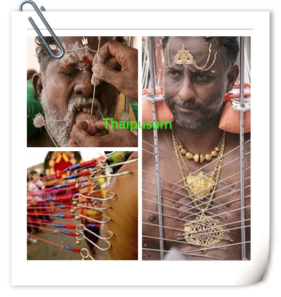 The Thaipusam in Indian