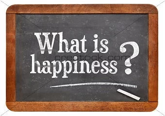 What is happiness? 
