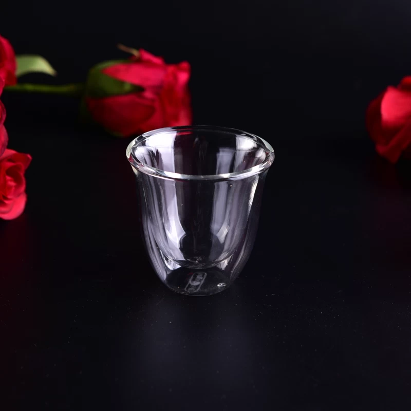 Double walled borosilicate glass tea cup
