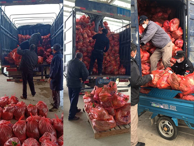 Donation of fresh vegetables from Sunny Glassware had arrived in Wuhan