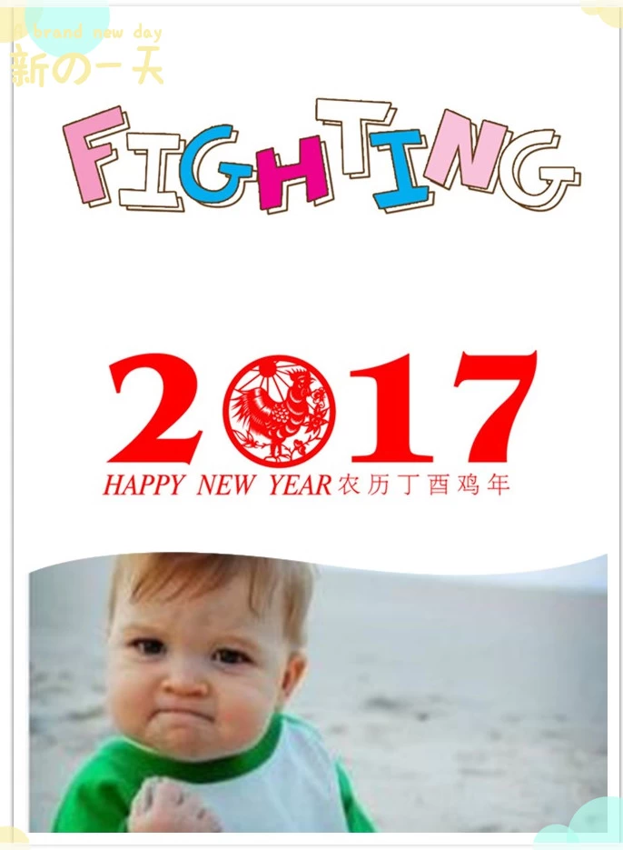 Go fighting for 2017