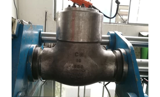 high pressure testing for check valve.jpg