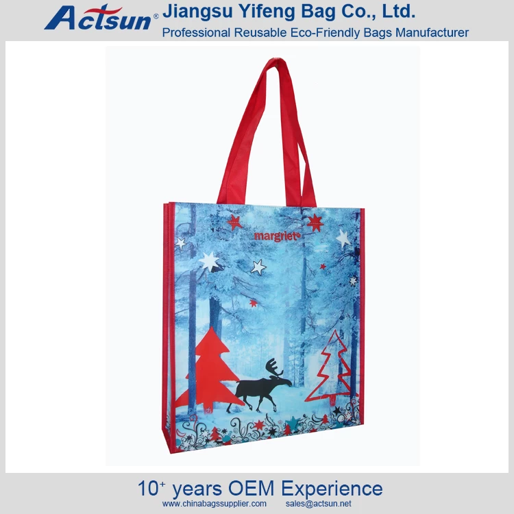 China Reusable Laminated PP Non Woven Bag manufacturer