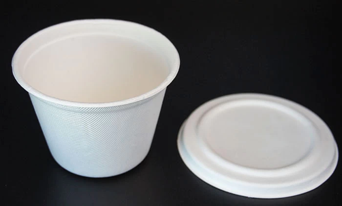16oz 350ml embalaje cuo bowl bio recipiente desechable con tapa proveedor