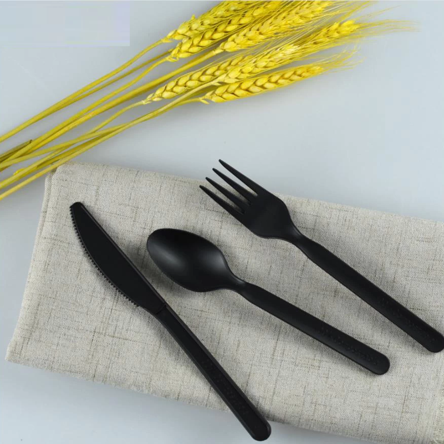 6inch Biodegradable PLA Eco Friendly Tableware Set Supplier