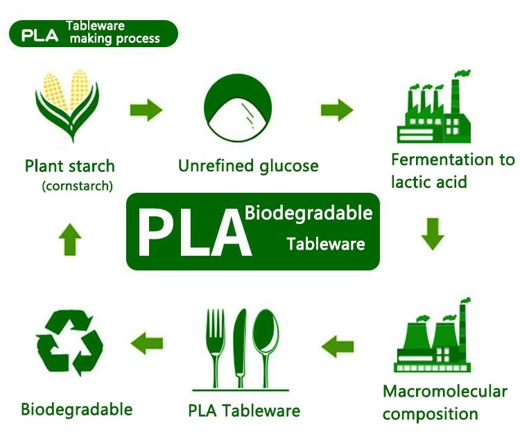 6inch Biodegradable PLA Eco Friendly Tableware Set Supplier
