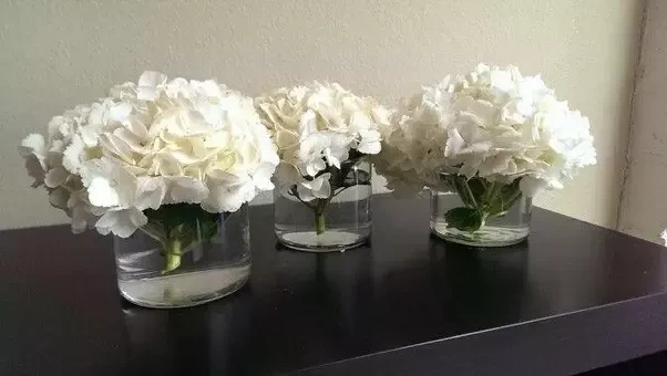 What can you do with leftover candle jars?