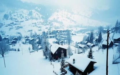 China Winter is coming manufacturer