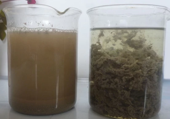 China Polyacrylamide is Used in Municipal Wastewater Treatment manufacturer
