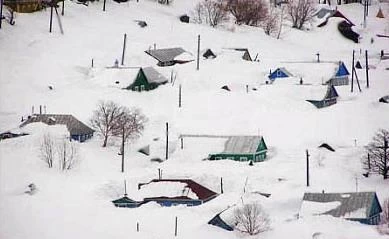 China New Rrecord of Snow falling in Moscow  2000 Plus Trees Fall Down manufacturer
