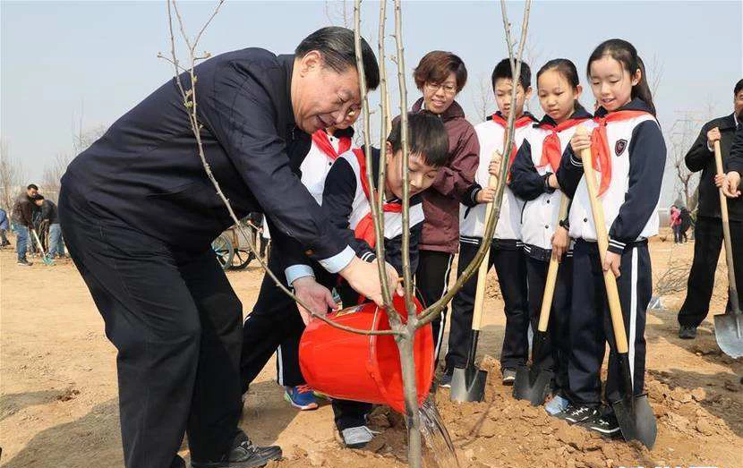 China Xi Jinping: Treating the ecological environment like treating life manufacturer