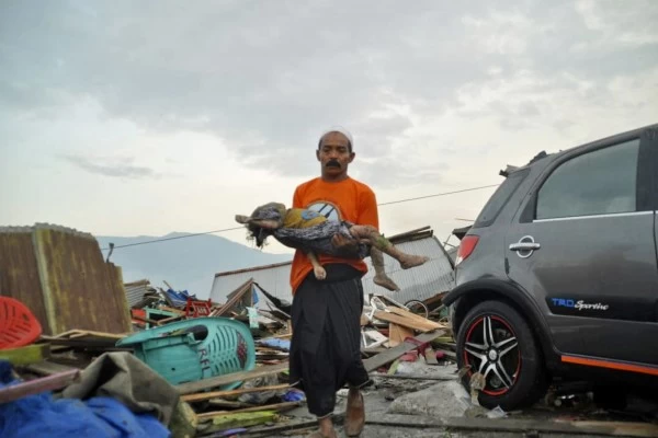 China TerribleTsunami in Indonesia manufacturer