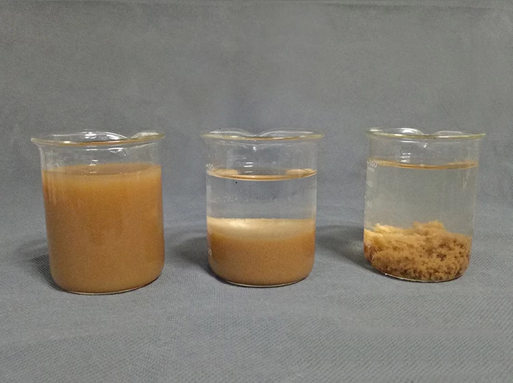 China WELLDONE polyacrylamide PAM Use Method manufacturer