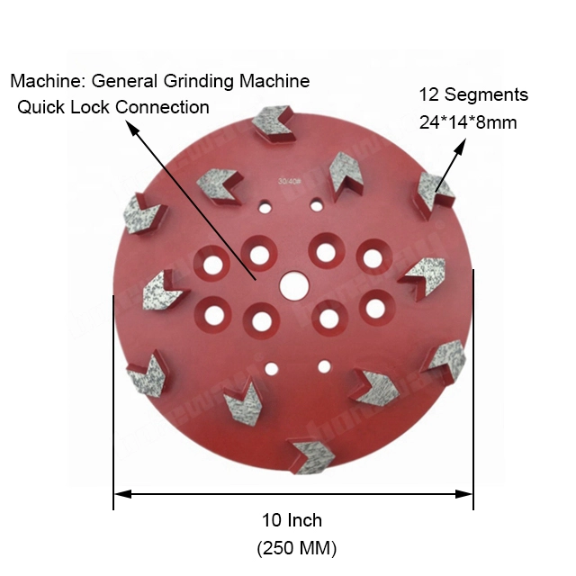 10 inch Diamond Grinding Disc