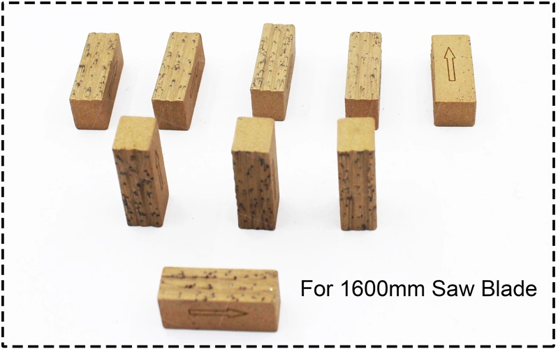 1600mm Diamond Single-Blade Wet Cutting Segment For Iran Market 04