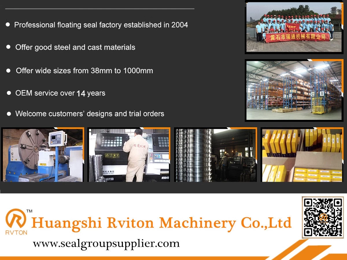 ISO 9001 Certified Floating Seals Rvton Factory