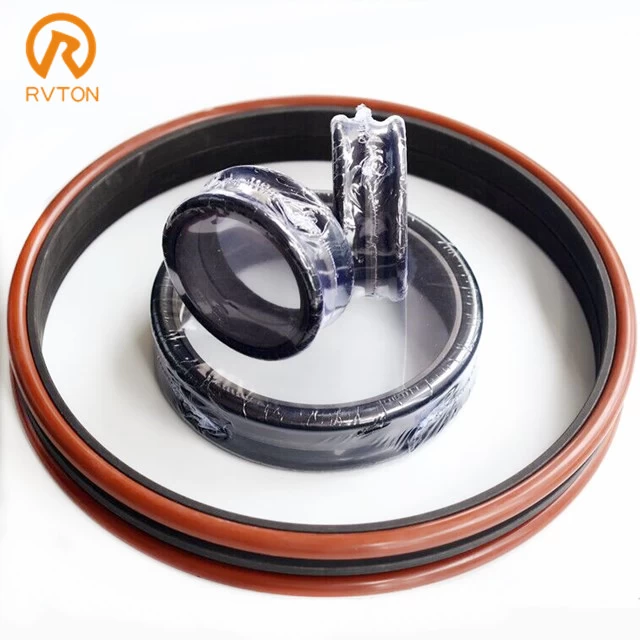 China ISO 9001 Certified Floating Seals Rvton Factory manufacturer