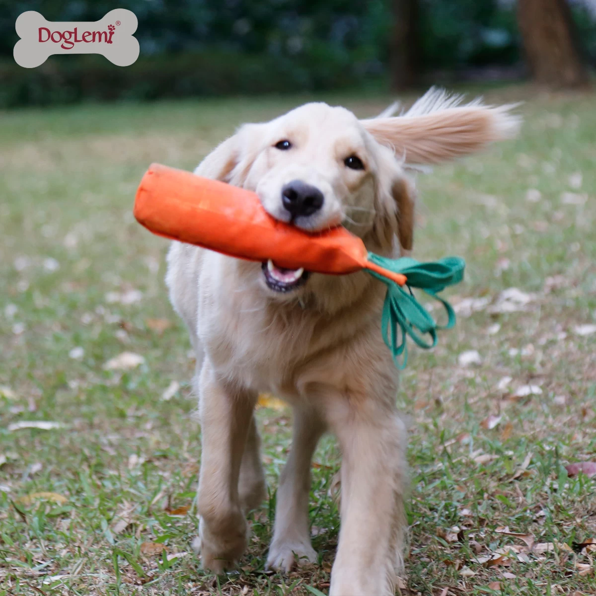 Juguetes para perros discount con botellas de plastico