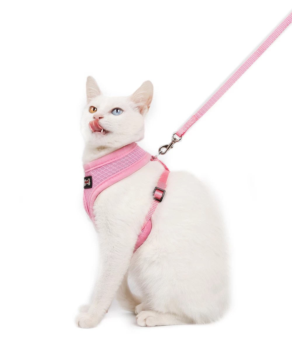 Wholesale New Nice-Looking Breathable Air Mesh Cat Harness and