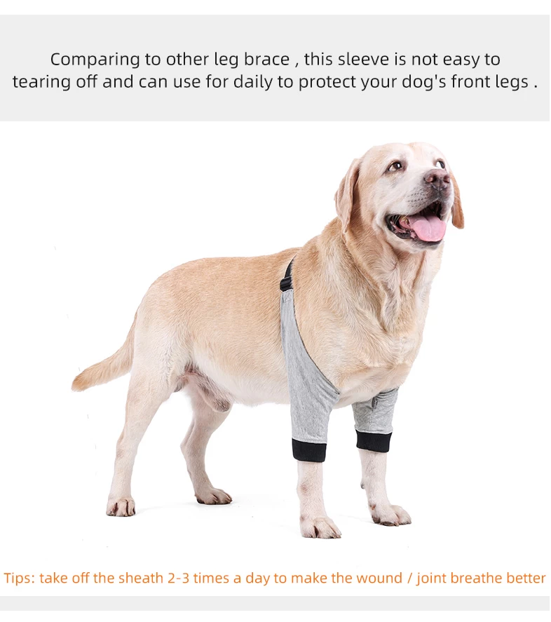  Rear Dog Leg Brace One Pair Heals Hock Joint Wrap Sleeve for  Hind Legs(XL/Grey) : Pet Supplies