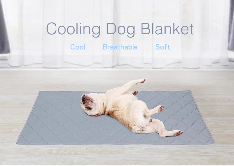 Cold blanket for outlet dogs