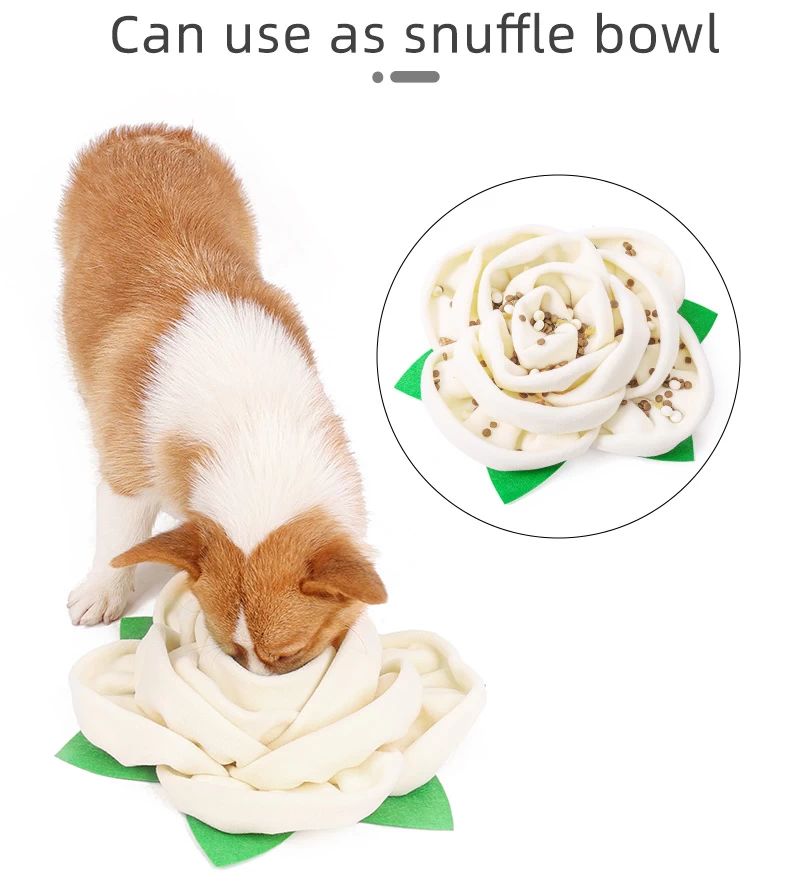 Salate Snuffle Bowl & Mat