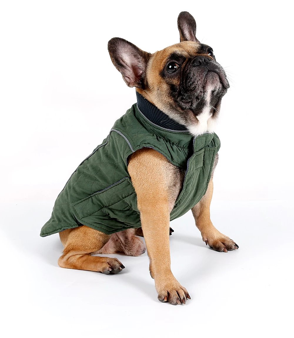Vintage Pet Jacket China supplier retro dog jacket China supplier