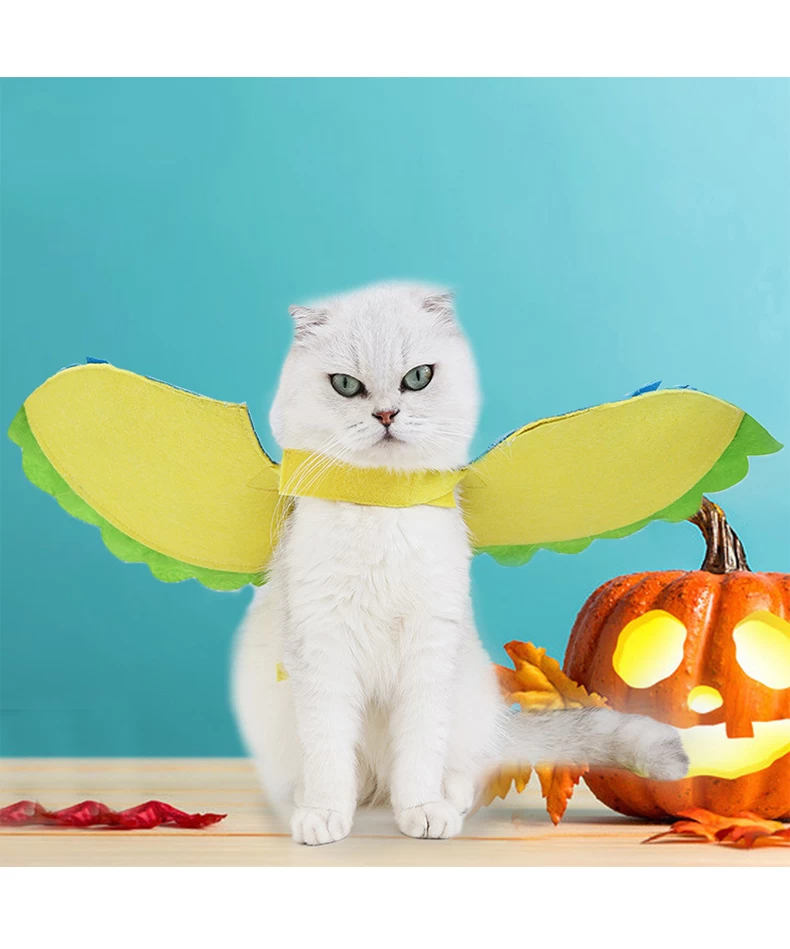 Cat angel costume best sale