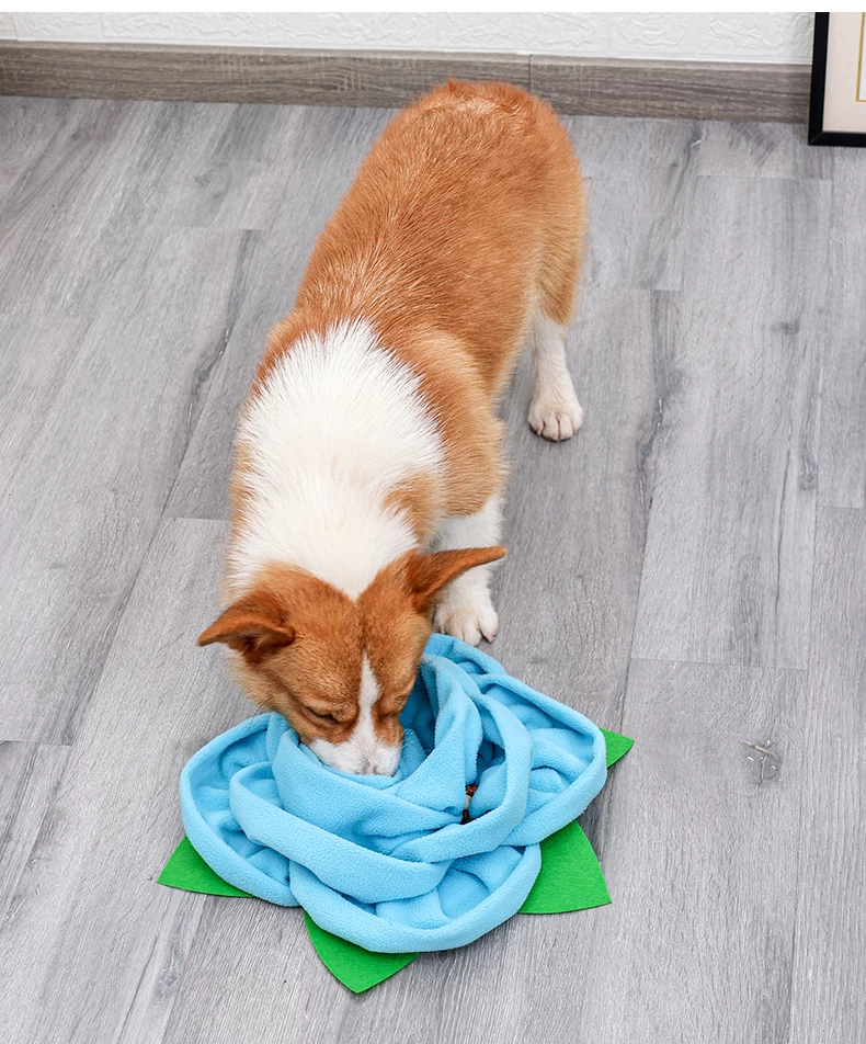 Salate Snuffle Bowl & Mat