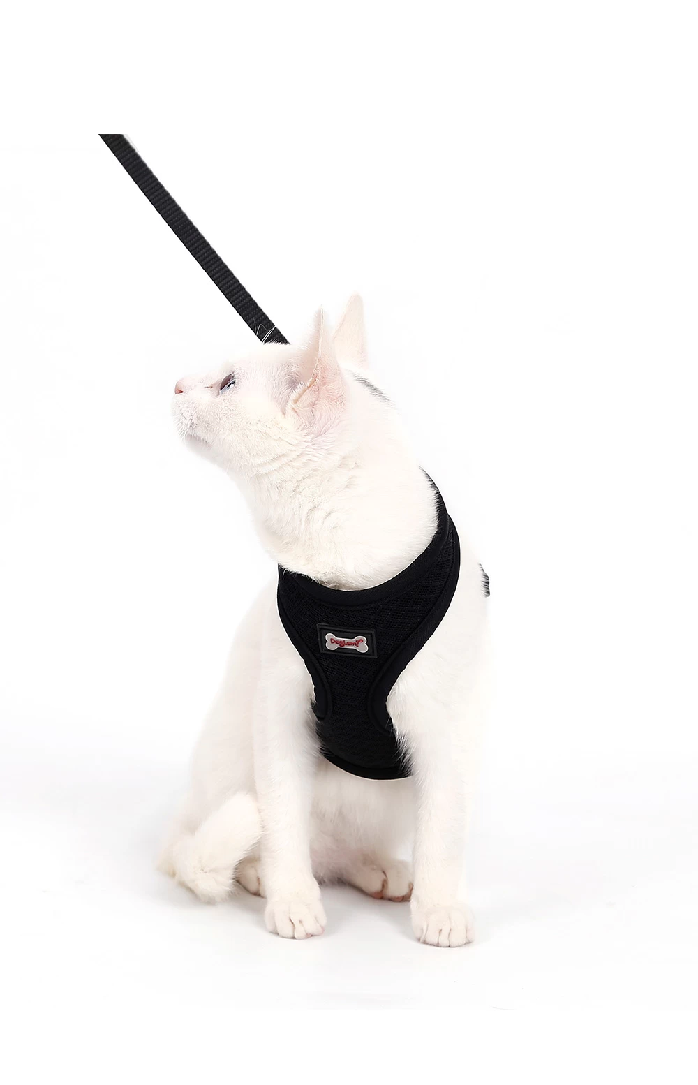 Wholesale New Nice-Looking Breathable Air Mesh Cat Harness and