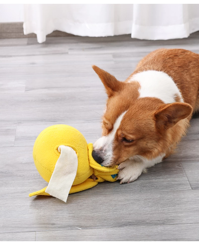 14 Awesome Dog Puzzle Toys - Stop Boredom Today — Pumpkin®