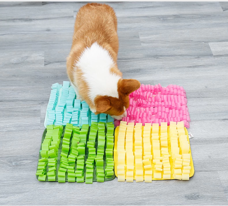 Buy Wholesale China Diy Dog Snuffle Slow Eating Training Mat Bowl ,3 Levels  Snuffle Mat For Dogs Pet Feed & Dog Snuffle Mat at USD 3.05