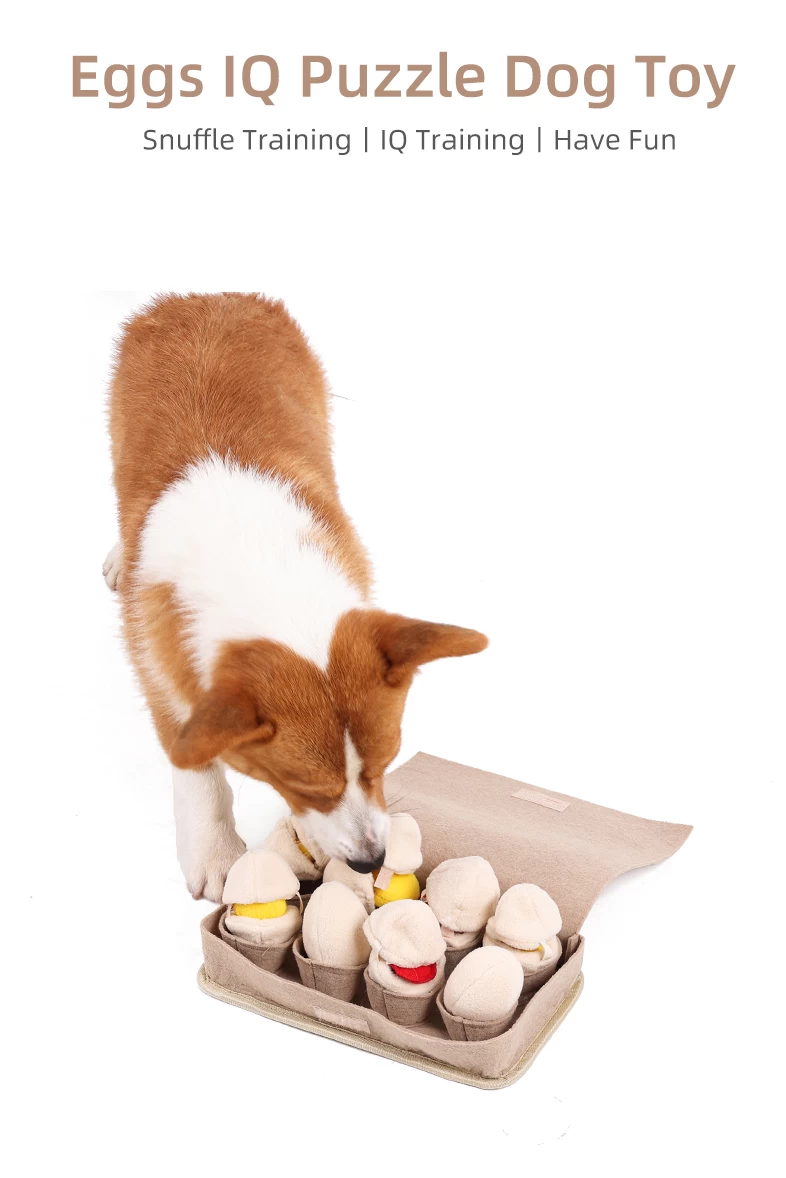 Blind dog toys and training  Blind dog, Dogs, Dog boarding