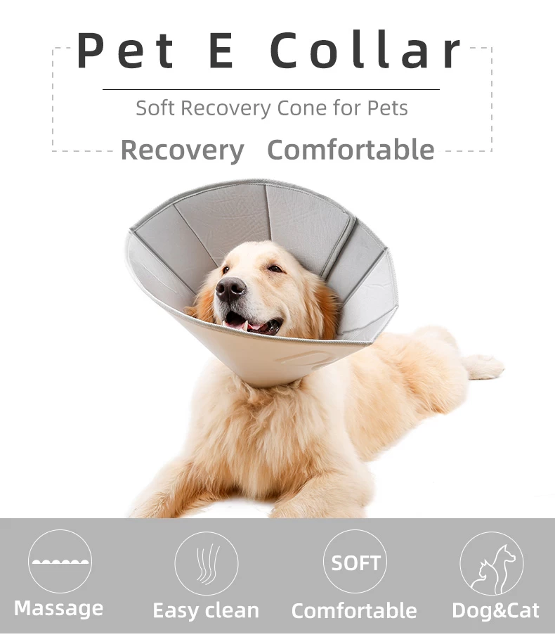 COLLAR Company — pet products manufacturer