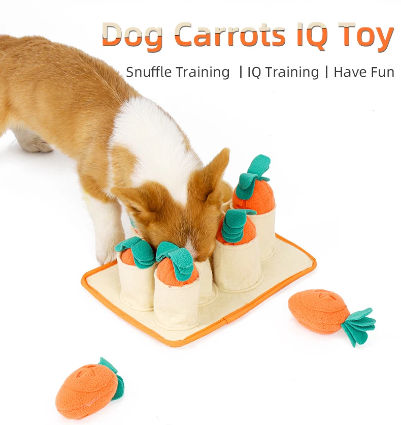 7 of the Best Interactive Toys for Dogs