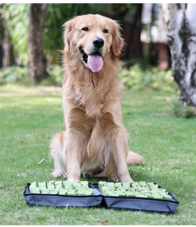 Foldable and Portable Dog Snuffle Box Indoor Outdoor Use Stress Relief Meal  Bowl Snuffle Toy Mat