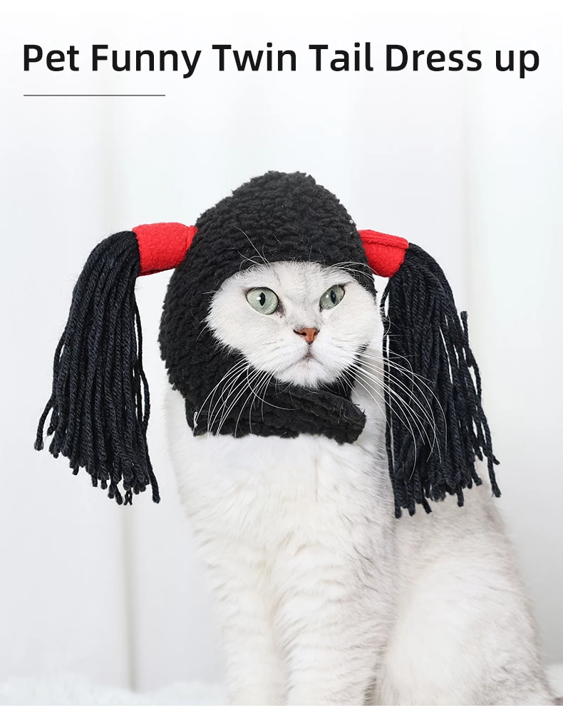 funny cats dressed up