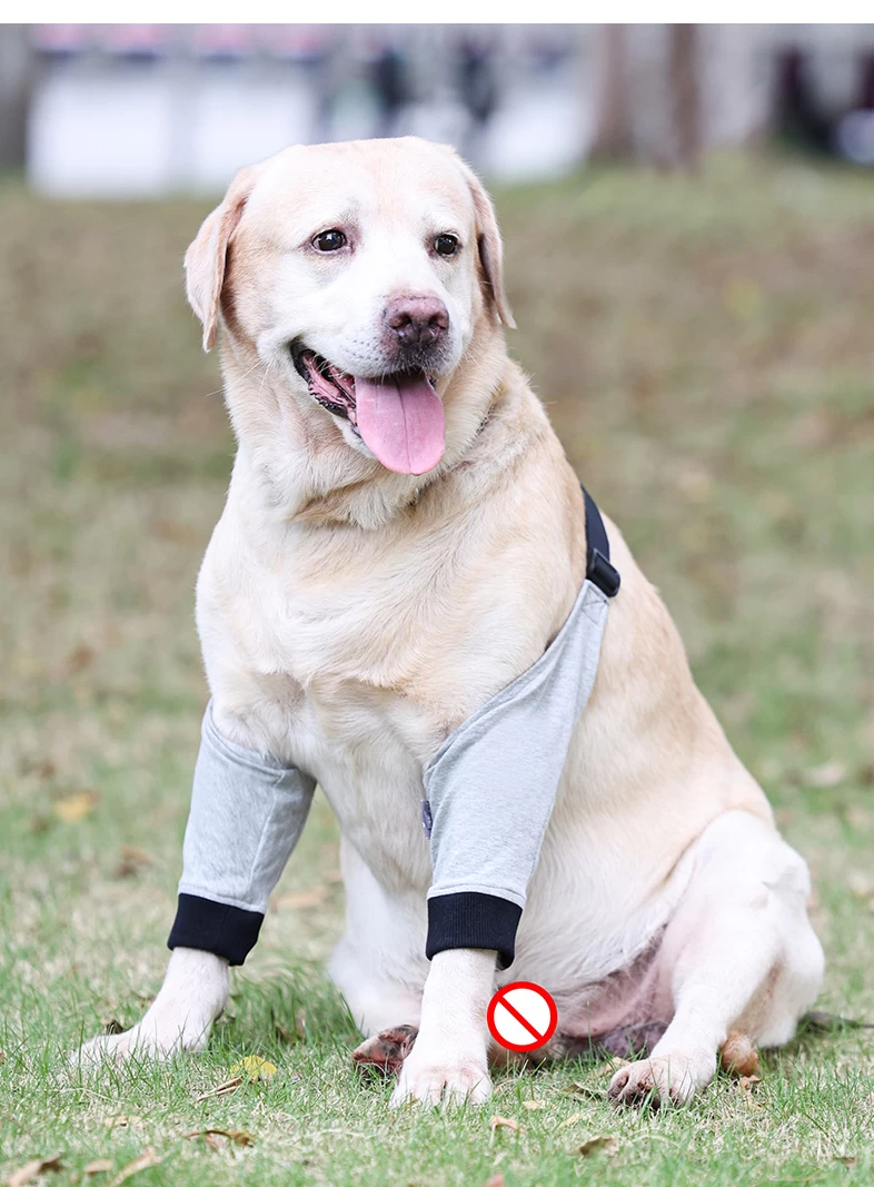 Dog Recovery Sleeve Protector Pet Leg Wounds Prevent Licking Dog Front Legs  Joint Protection Brace Sleeve