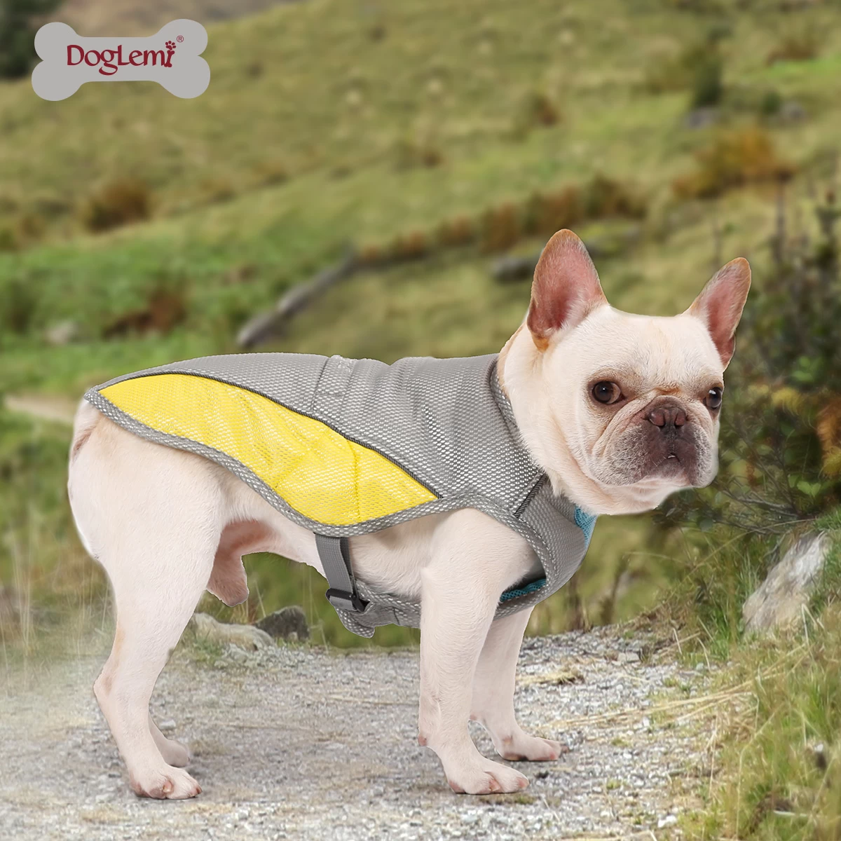 DOGLEMI Dog Training Vest For Handlers - Crawlpaw