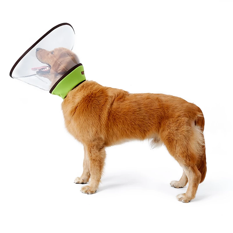 Dog store collar protector