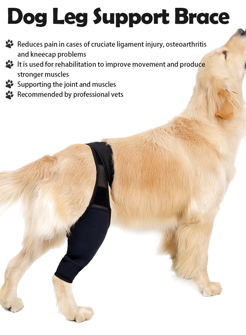 Dog Knee Brace Dog Leg Brace For Torn Acl Hind Leg Dog Hip Brace For  Support,dog Acl Knee Brace For Luxating Patella, Reduces Arthritis Pain