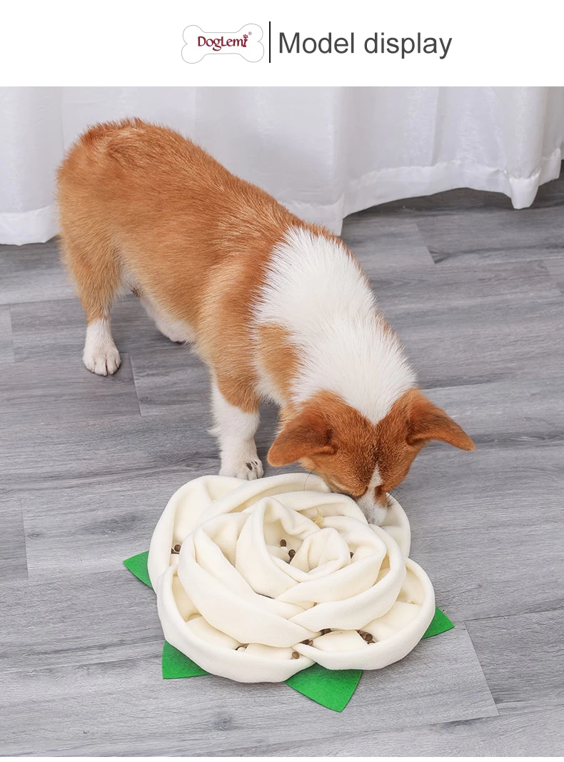 Salate Snuffle Bowl & Mat