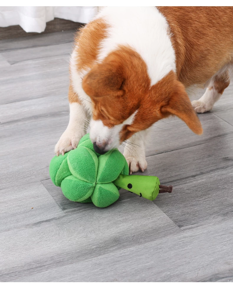 Broccoli Pet Sniffing Pad Dog Snuffle Mat Fetch Toy Interactive