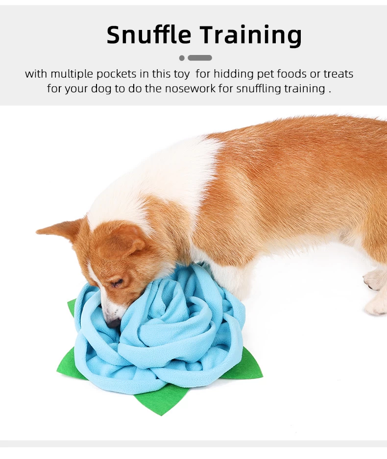 Salate Snuffle Bowl & Mat