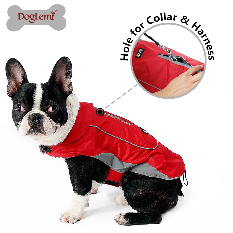 Спортивная одежда для собак второго поколения