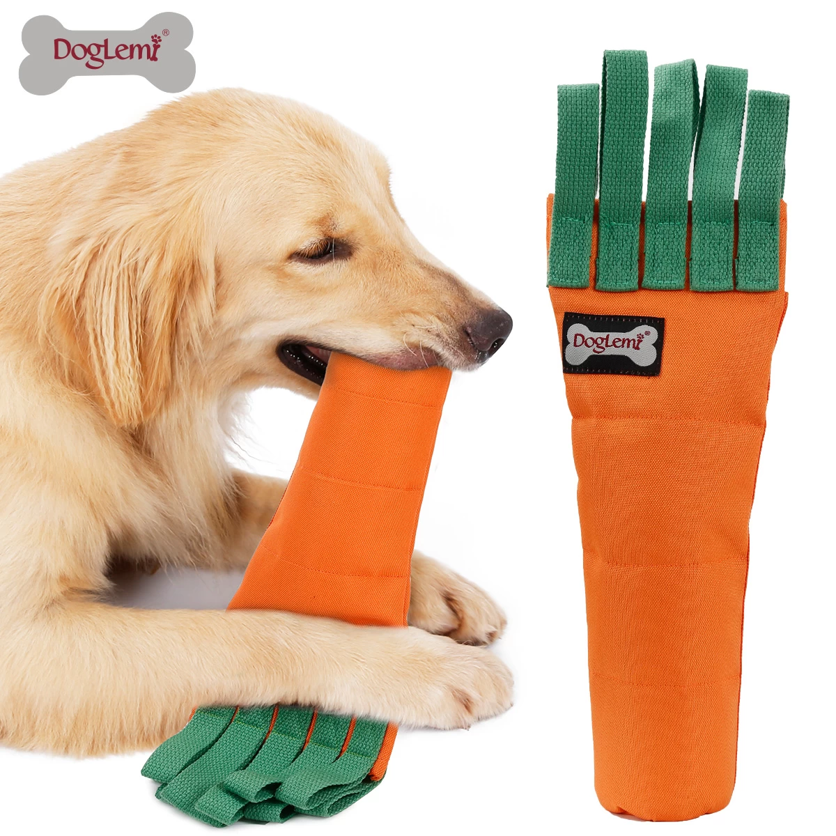 Karottenhund beißt Spielzeug schnüffeln