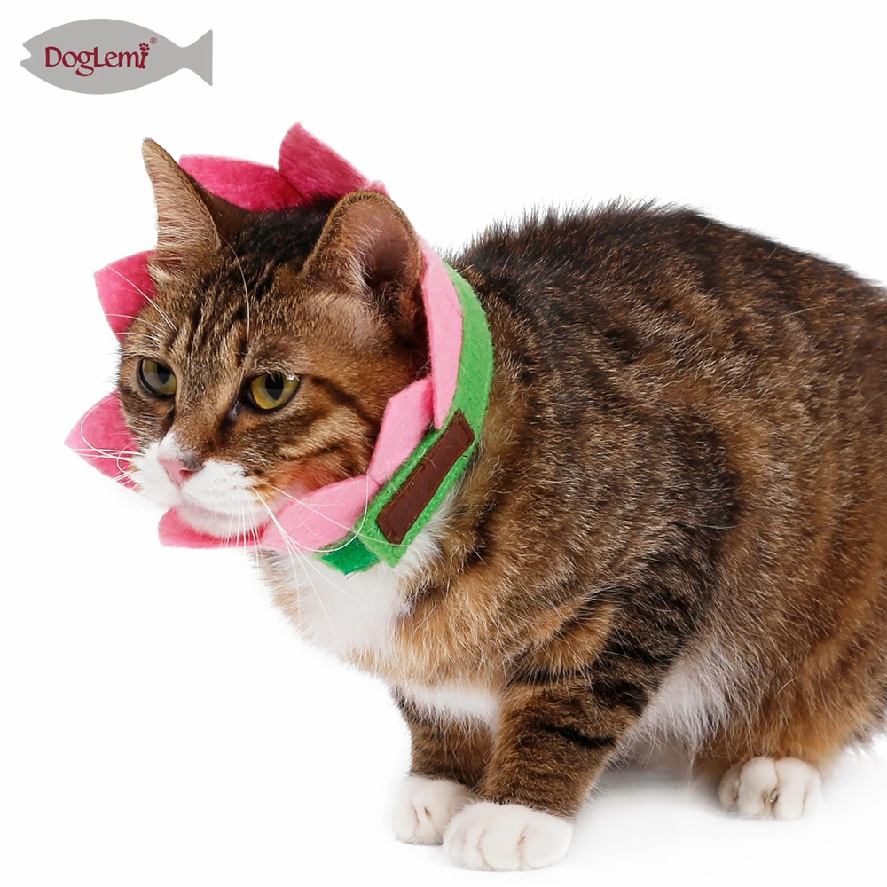 Cat Flower Collar