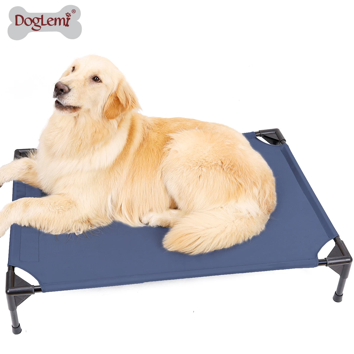 Collapsible pet camp bed
