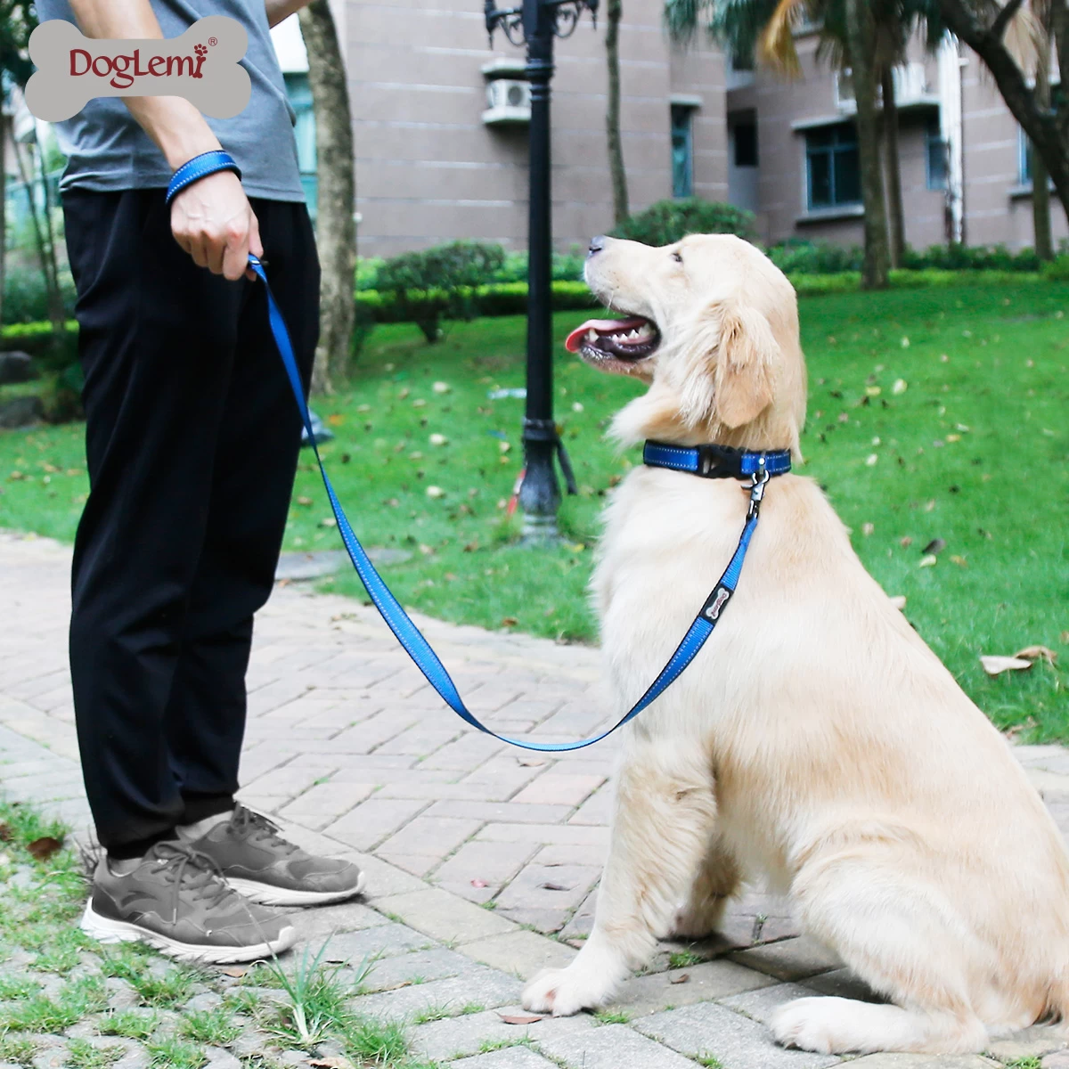 Comfortable reflective silk dog leash