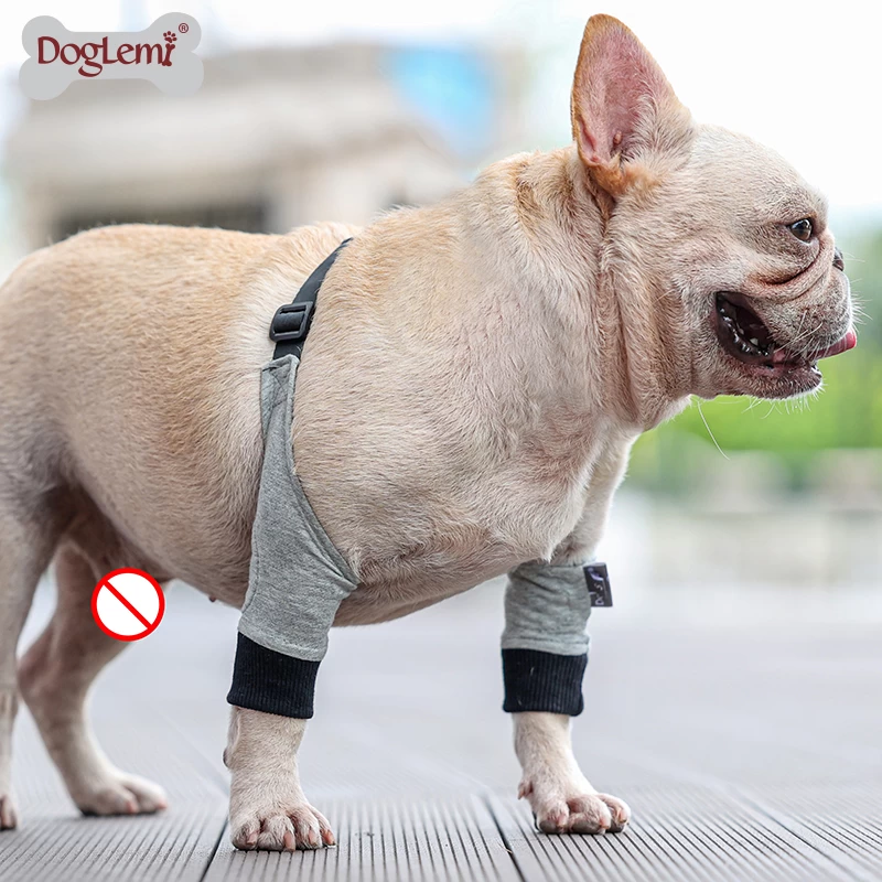 Hundegewinnungshülsenschutz-Tier-Beinwunden verhindern, dass Licking-Hunde-Vorderbeine Gelenkschutz-Brace-Hülse verhindern